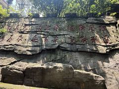 -广州市帽峰山景区