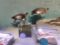 -中国湿地博物馆