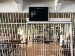 -阿尔卡特拉斯岛