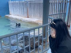 -蓬莱欧乐堡海洋极地世界