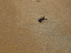 -青岛银沙滩