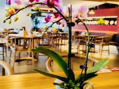 -茶人村·前滩江景雅宴(上海首店)
