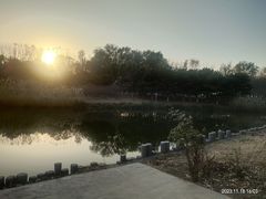 -大兴滨河森林公园