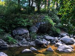 -花岩国家森林公园