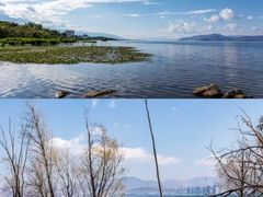 -洱海月湿地公园