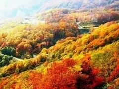 -北京鹫峰国家森林公园