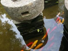 -老木棉·匠园