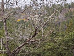 -白水寺森林公园
