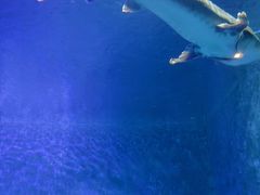 -石林冰雪海洋世界