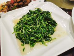 -苏州太湖假日酒店