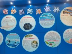 -上海海洋大学鱼文化博物馆(军工路校区)