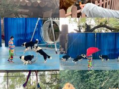 -泉州海丝野生动物世界