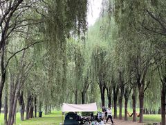 -东坝千亩湖公园