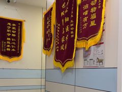 -中农国际动物医院24小时·猫科·骨科·急重症中心