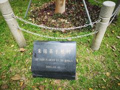 -深圳国际园林花卉博览园