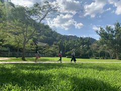 -西双版纳原始森林公园