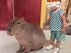 -萌宠奇缘