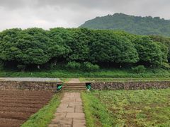 -八卦田遗址公园