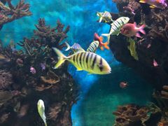 -多彩贵州城极地海洋世界