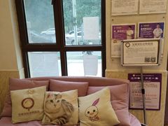 -宠爱国际动物医院·消化内科·心肾内科·ISFM猫友好(望京店)