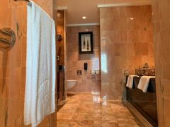 -新加坡文华东方酒店