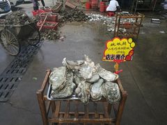 -蚝专家(北滘店)