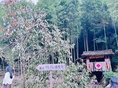 -林坑古村落