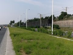 -丁香湖公园