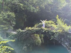 -雁荡山风景名胜区