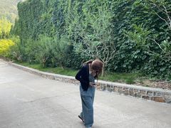 -龙口南山旅游景区