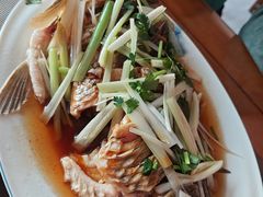-微山岛春天里酒家