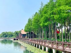-苏州太湖湖滨国家湿地公园