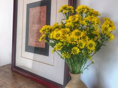 -大理无舍度假酒店