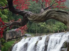 -刘伯温故里景区百丈漈