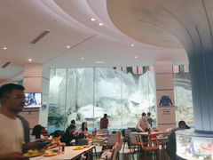 -帝企鹅自助餐厅•儿童岛•真企鹅(长隆企鹅酒店)