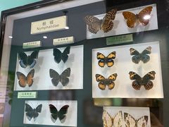 -上海昆虫博物馆