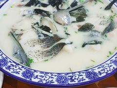 浓汤鱼头-全乐鱼馆·淳牌有机鱼直营店