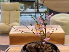 -天目湖御水温泉·度假酒店