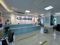 -北京观赏动物医院·24小时大型综合·猫专科·异宠专科