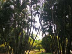 -红色娘子军纪念园