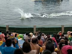 -秦皇岛乐岛海洋王国