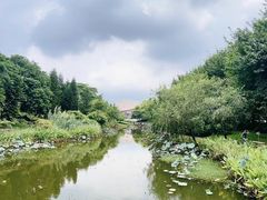 -映月湖公园