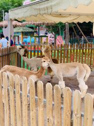 -萌宠亲子动物乐园(槐房万达店)