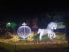 -杭州湾海上花田景区
