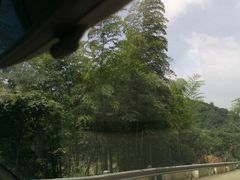android_upload_pic-宁波浙东大竹海景区
