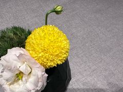 -南堂馆·新川菜(春熙路店)