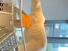 -魏客咖啡(中铁中心店)