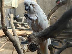 -大连森林动物园