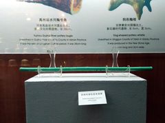 -四川宋瓷博物馆