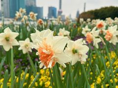 -上海港国际客运中心1号游艇码头